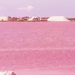 Апартаменты Au Coeur De Torreveija