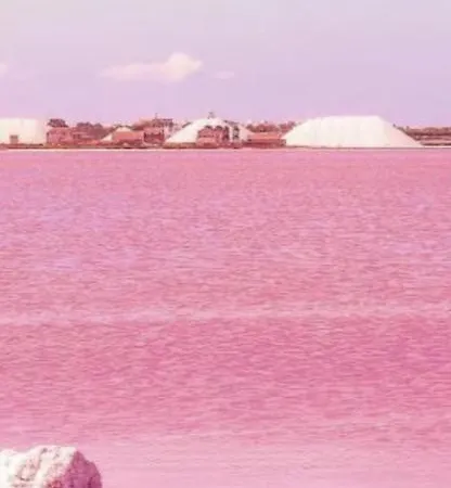 Appartement Au Cœur De Torreveija