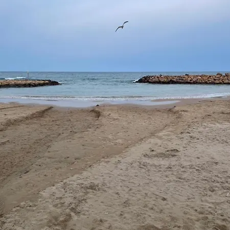 Au Cœur De Torreveija * Torrevieja
