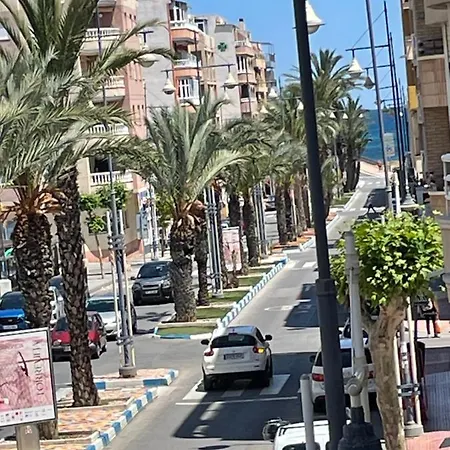 Appartement Au Cœur De Torreveija