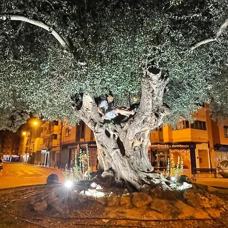 Au Cœur De Torreveija *